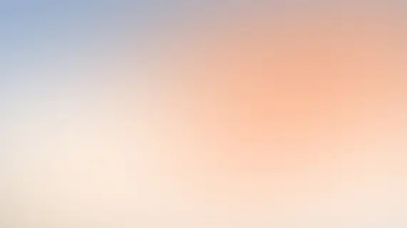 Betitall Casino Support